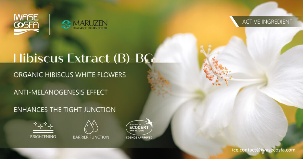 NEW DESIGN 1 - HIBISCUS