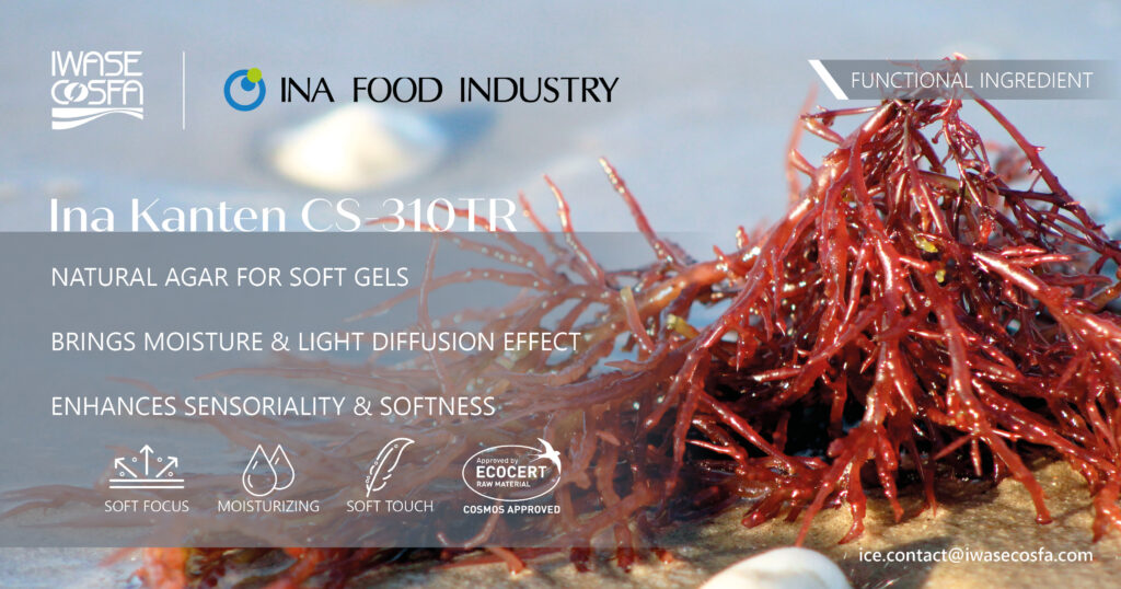 NEW DESIGN 1 - INA KANTEN CS-310 TR