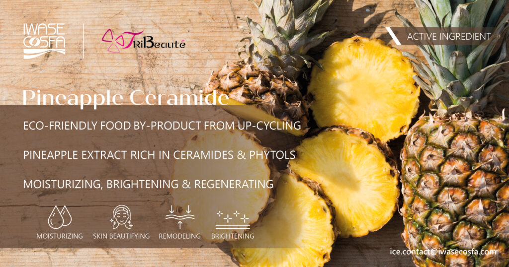 NEW DESIGN 1 - PINEAPPLE CERAMID